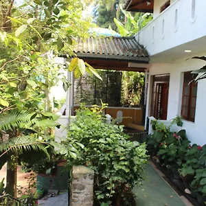https://alex-home-stay.negombohotels.net